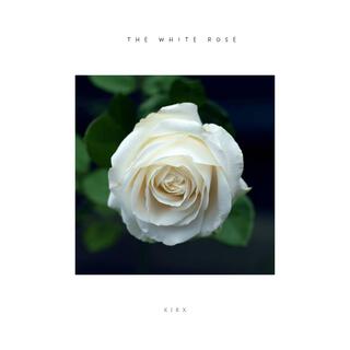 The White Rose