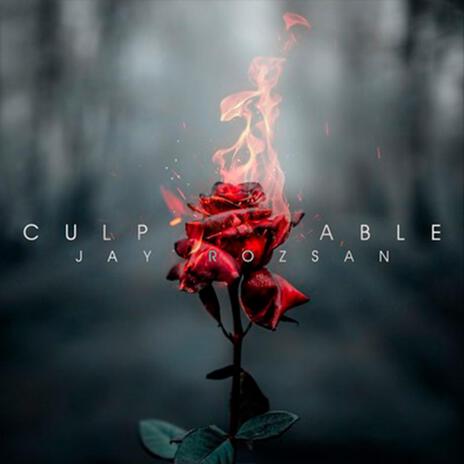 Culpable | Boomplay Music