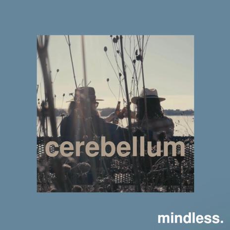 cerebellum | Boomplay Music