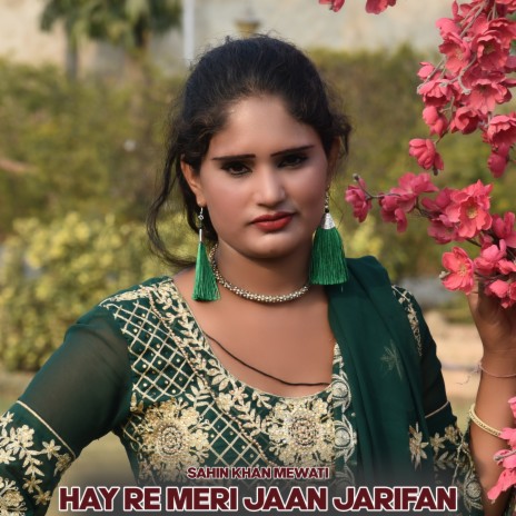 Hay Re Meri Jaan Jarifan | Boomplay Music