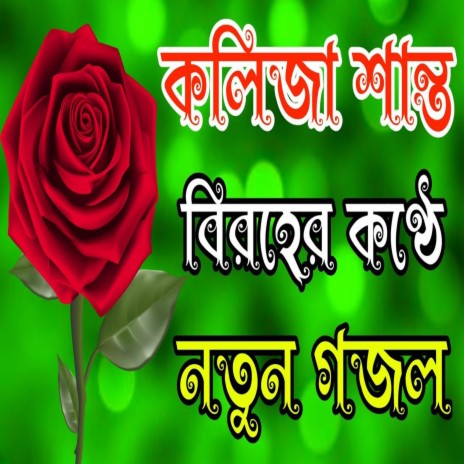 মধুর সুরে মনপ্রাণ জুড়ানো গজল _ বাংলা সেরা গজল _ bangla notun gojol | Boomplay Music