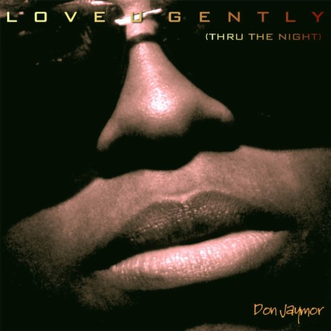 Love U Gently (Thru the Night) | Boomplay Music