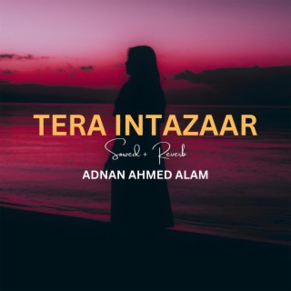 Tera Intazaar (Slowed + Reverb)