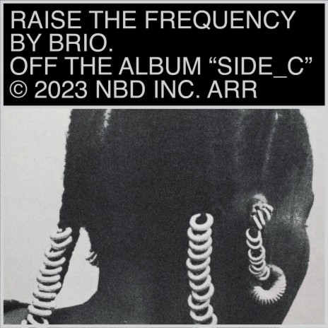 Raise The Frequency | Boomplay Music