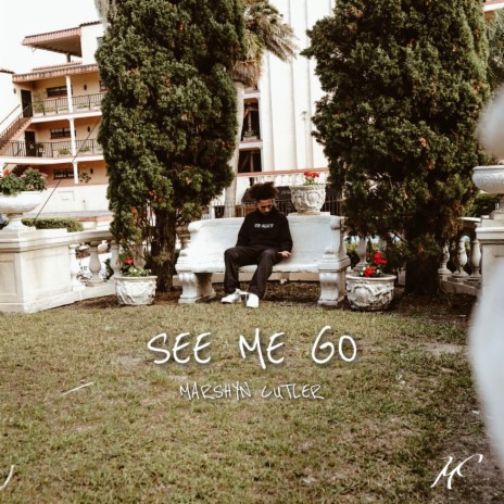 See Me Go | Boomplay Music