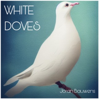 White Doves