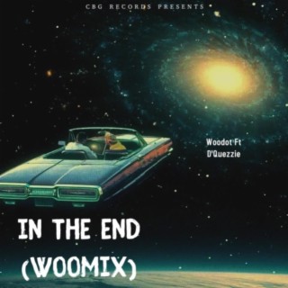 In the end PT2 (woomix)