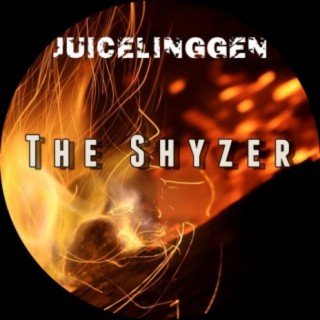 The Shyzer