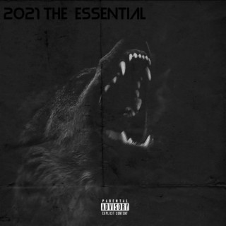 2021 the essential