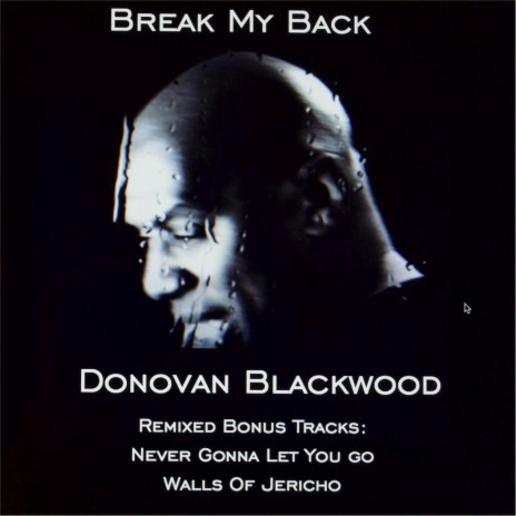 Never Gonna Let You Go | Boomplay Music