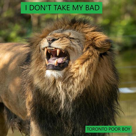 I Don't Take My Bad | Boomplay Music