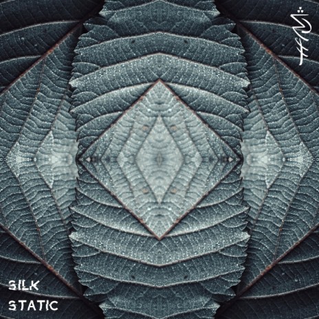 Nurture vs Nature (Silk Static Remix) ft. Silk Static | Boomplay Music