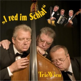 Trio Wien