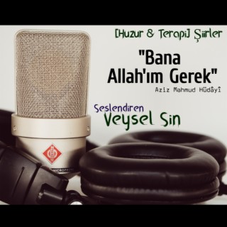 Bana Allah'ım Gerek (Hüdayi) - Huzur & Terapi Şiirler