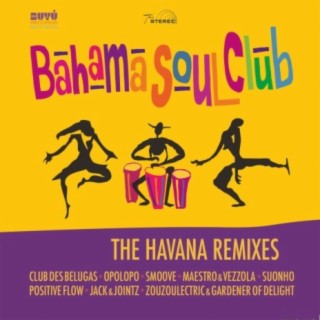 The Havana Remixes