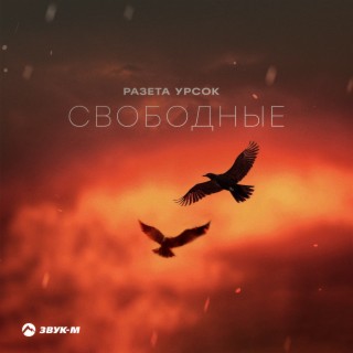 Download Разета Урсок Album Songs: Свободные | Boomplay Music