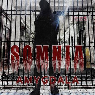 Amygdala