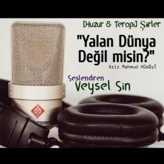 Yalan Dünya Değil Misin? (Aziz Mahmud Hüdayi) - Huzur Terapi Şiirler lyrics | Boomplay Music