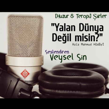 Yalan Dünya Değil Misin? (Aziz Mahmud Hüdayi) - Huzur Terapi Şiirler