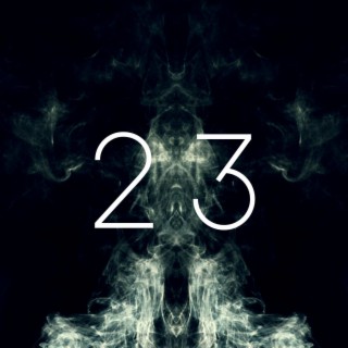 23