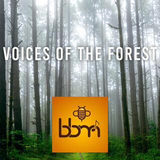 Voices of The Forest