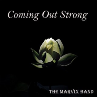 The Marvix Band