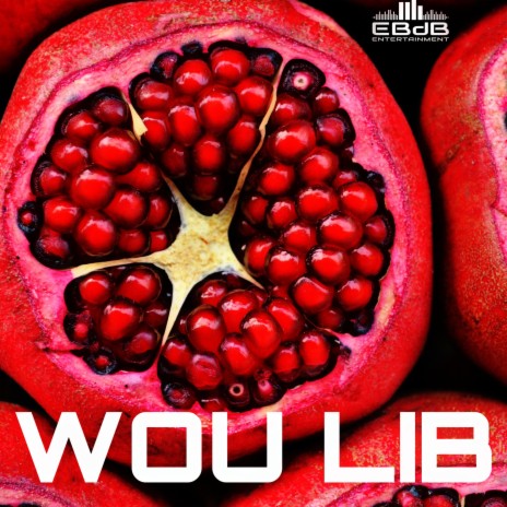 WOU LIB | Boomplay Music