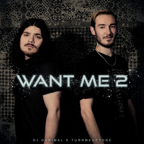 Want Me 2 ft. Turnmeuptone | Boomplay Music