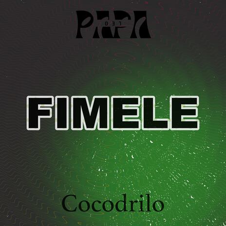 Fimele ft. Cocodrilo | Boomplay Music