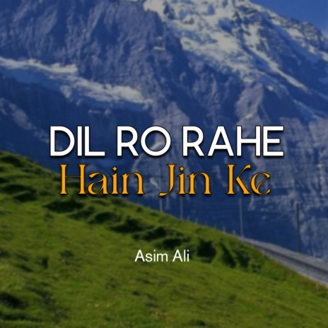 Dil Ro Rahe Hain Jin Ke | Boomplay Music