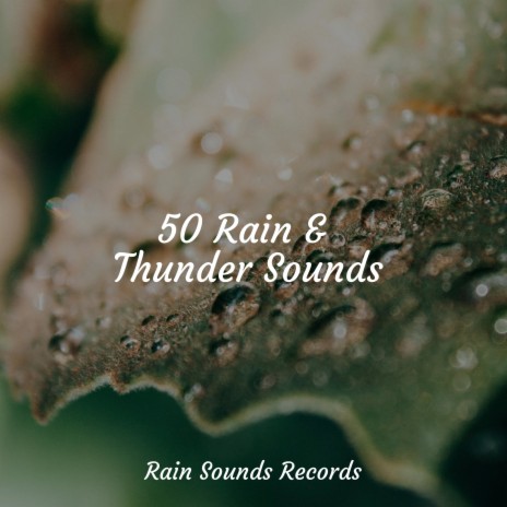 Pitter-Patter Showers ft. Sounds Of Nature : Thunderstorm, Rain & Rain Sound Studio | Boomplay Music