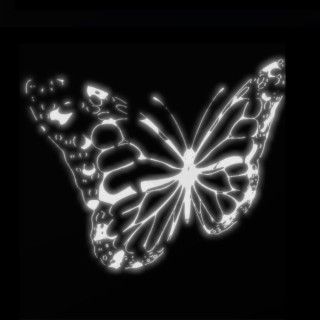 Butterfly ft. Parlay Pass lyrics | Boomplay Music