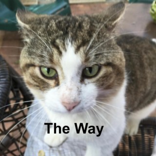 The Way