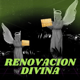 Renovacion divina