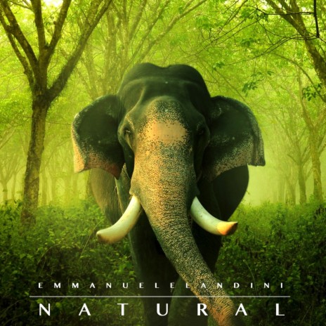 Natural (2023 Remastered) | Boomplay Music