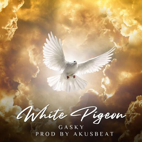 White pigeon | Boomplay Music