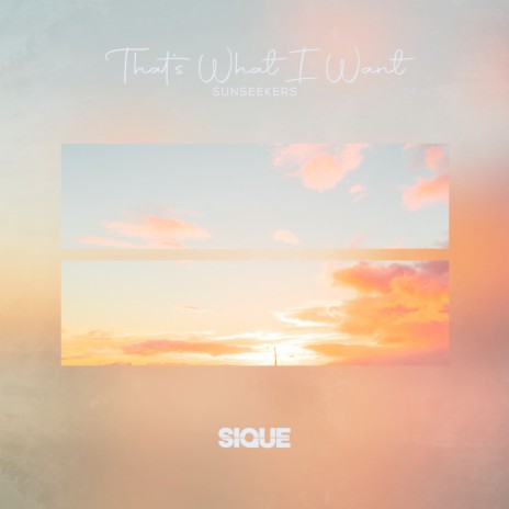 That's What I Want ft. SIQUE | Boomplay Music