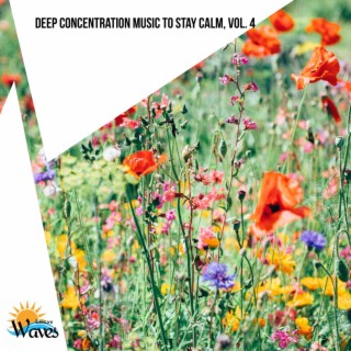 Deep Concentration Music to Stay Calm, Vol. 4