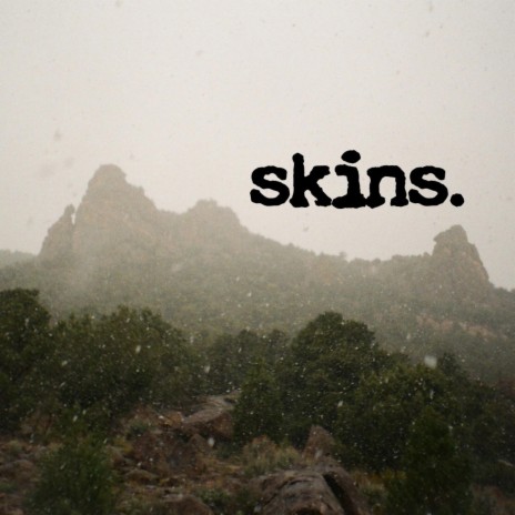 Skins