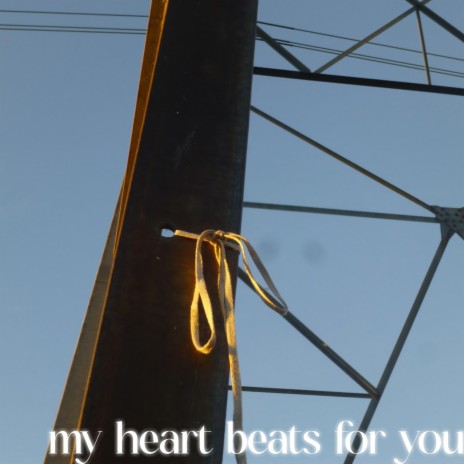 my heart beats for you | Boomplay Music