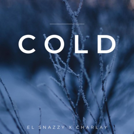 COLD ft. Char Lay | Boomplay Music