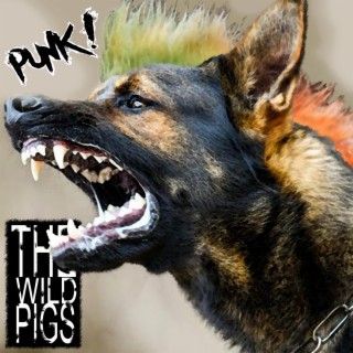 PUNK