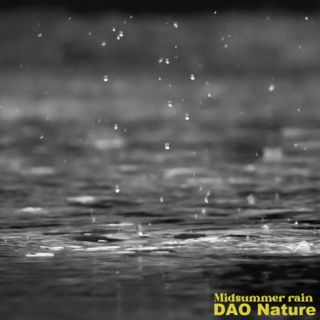 Low rain | Boomplay Music