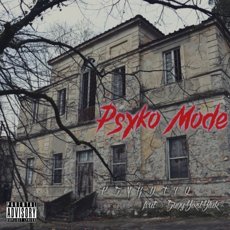 Psyko Mode ft. SongBirdBlak | Boomplay Music