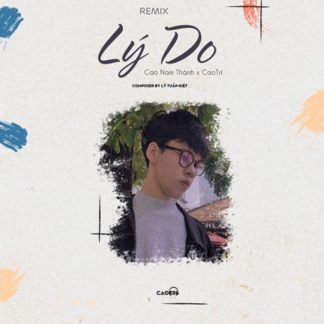 Lý Do (Remix) ft. cao nam thành | Boomplay Music