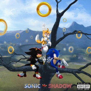 SONIC VS SHADOW