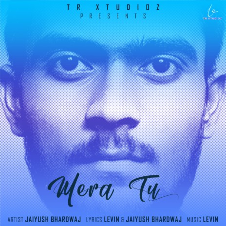 Mera Tu (Hindi) | Boomplay Music