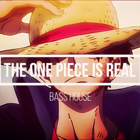The One Piece is real