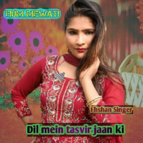 Dil Mein Tasvir Jaan Ki ft. Rihan Mewati | Boomplay Music