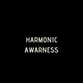 Harmonic Awareness